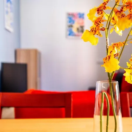 Quality With Homely Decor Apartment